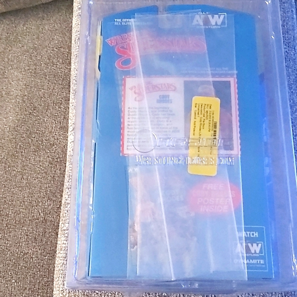 4  AEW Figures Rhodes , Darby Allin, CM Punk , Ljn Inspired - Picture 2 of 10